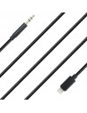 Cable de Charge Rapide Lightning a Jack 2m pour iPhone