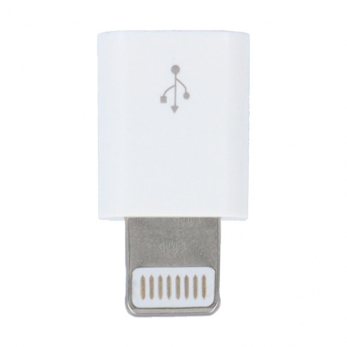 Adaptateur Lightning a USB Type C