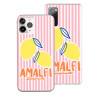 Coque Officielle Pictufy - Amalfi